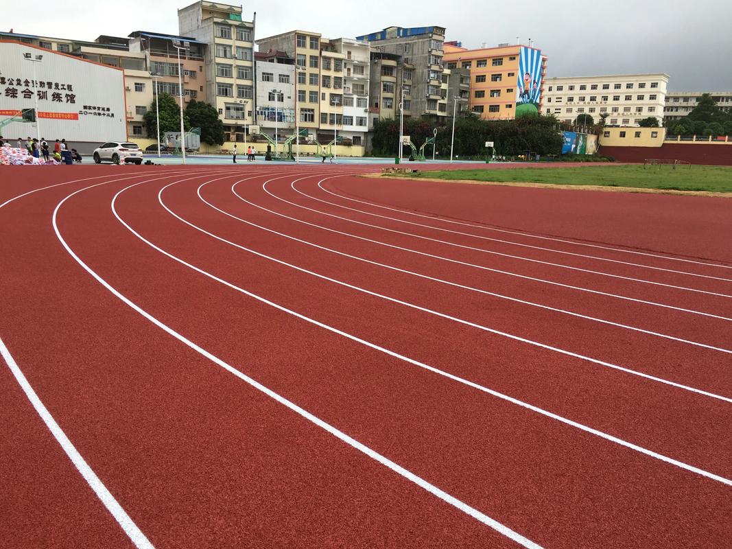 潍坊市EPDM颗粒塑胶跑道材料 - 推荐